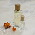 Creative Fragrance - 3B